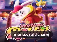 okokcoral visual 2